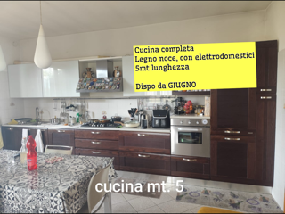 articolo